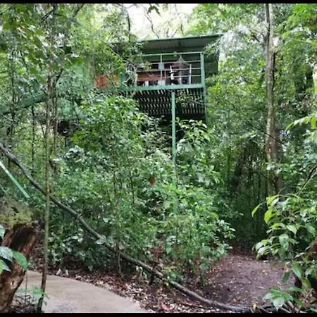 Jungle Living Tree Houses Monteverde Esterno foto