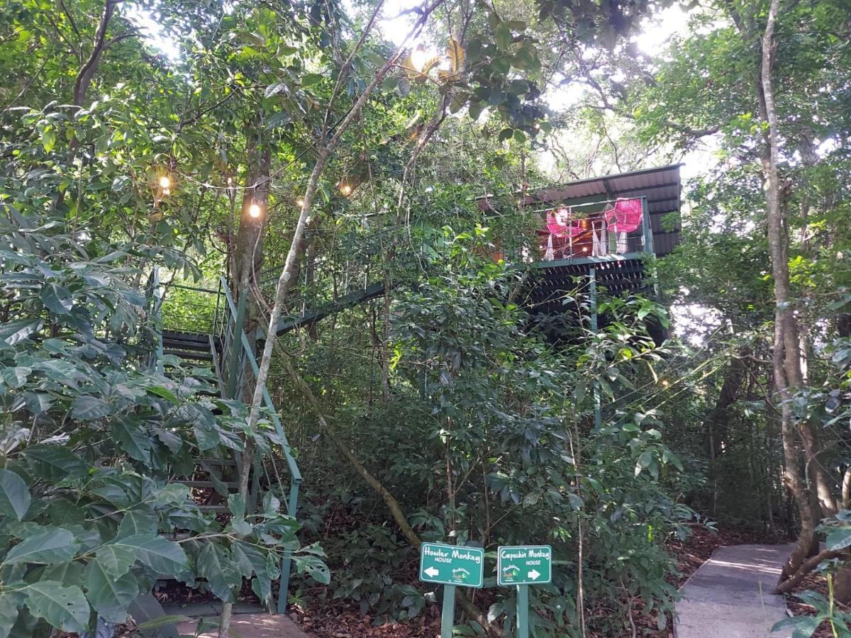 Jungle Living Tree Houses Monteverde Esterno foto