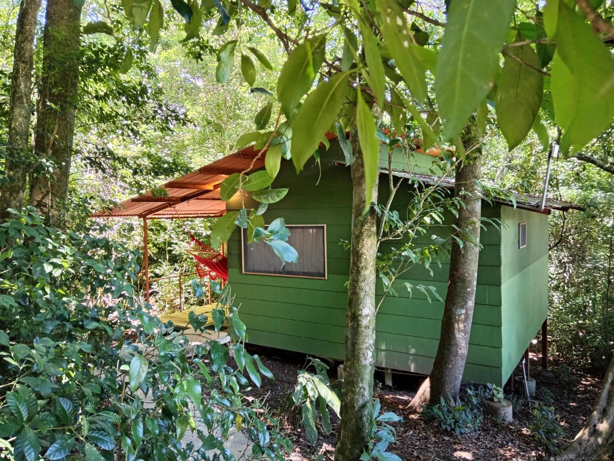Jungle Living Tree Houses Monteverde Esterno foto
