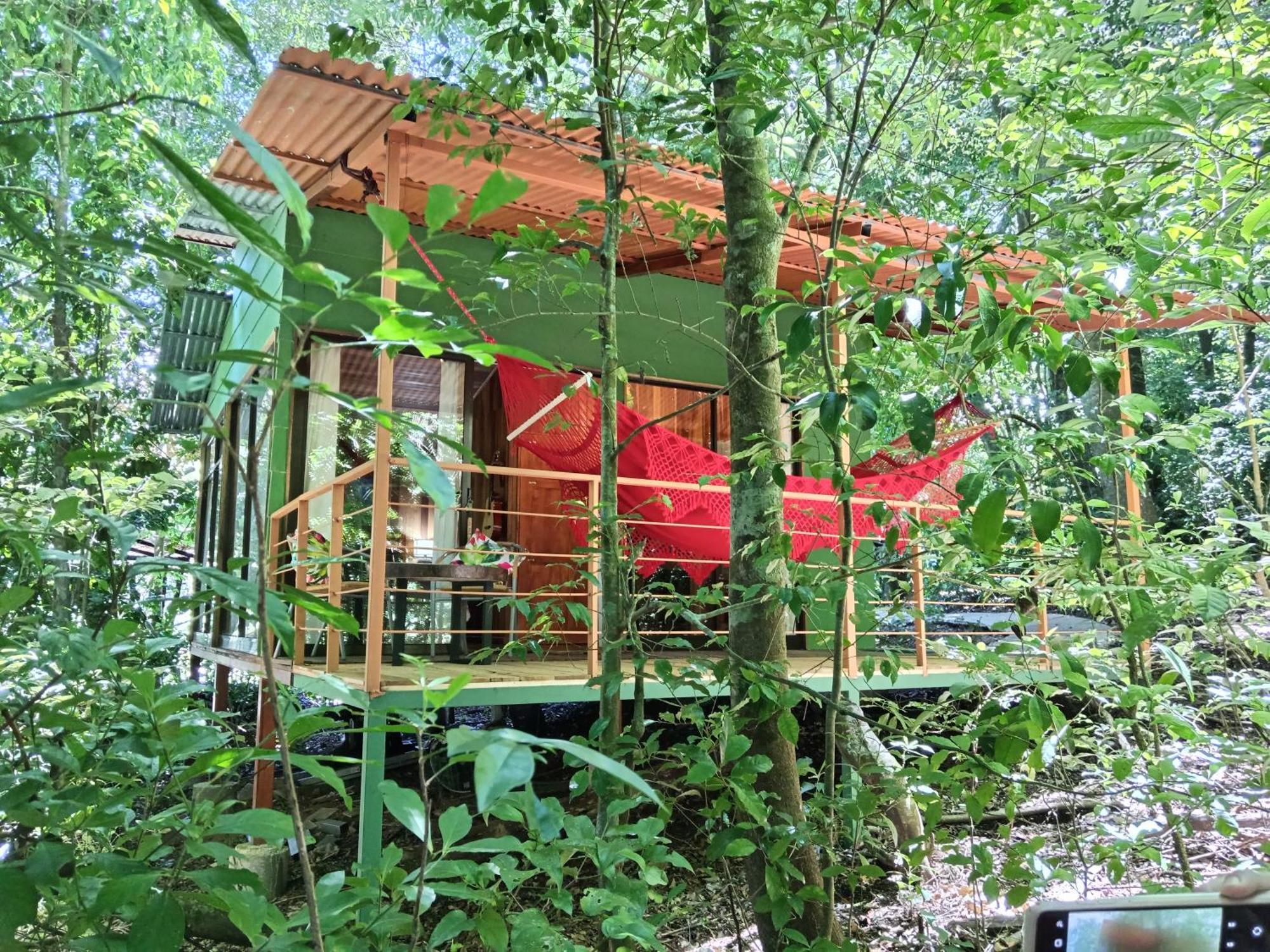 Jungle Living Tree Houses Monteverde Esterno foto