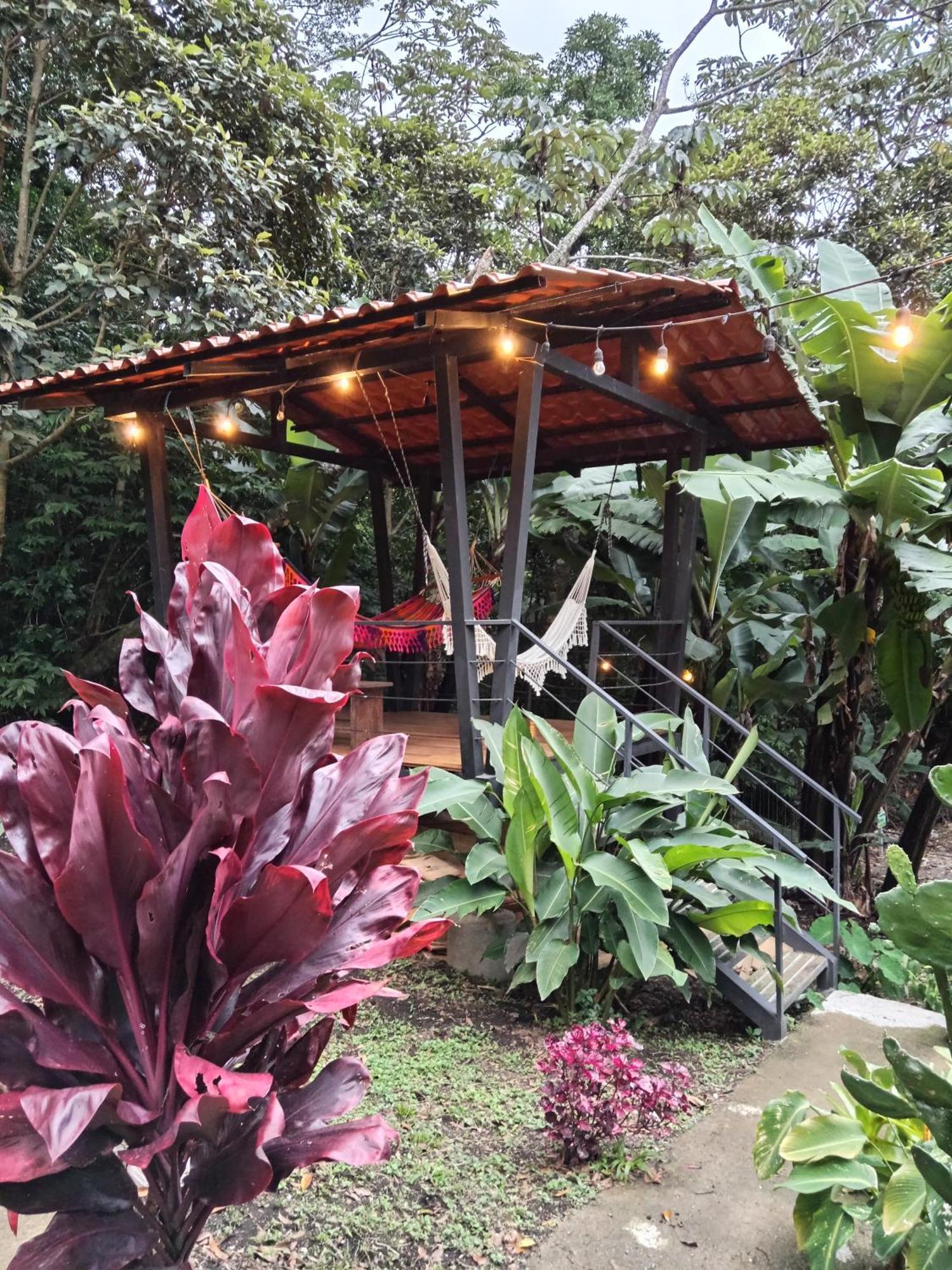Jungle Living Tree Houses Monteverde Esterno foto