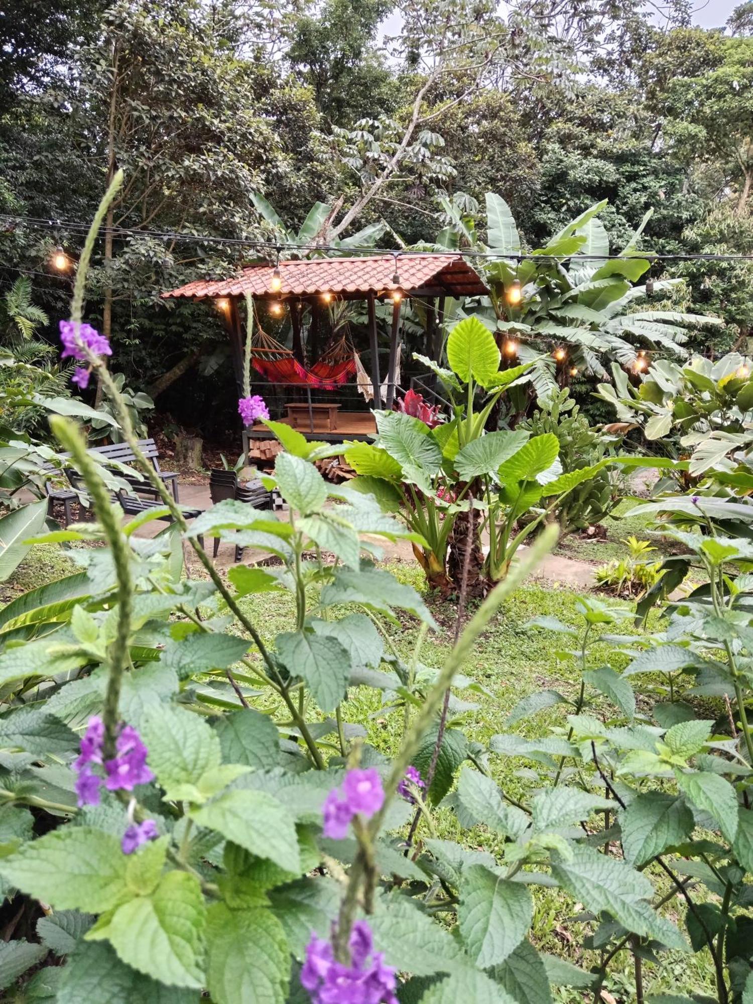 Jungle Living Tree Houses Monteverde Esterno foto