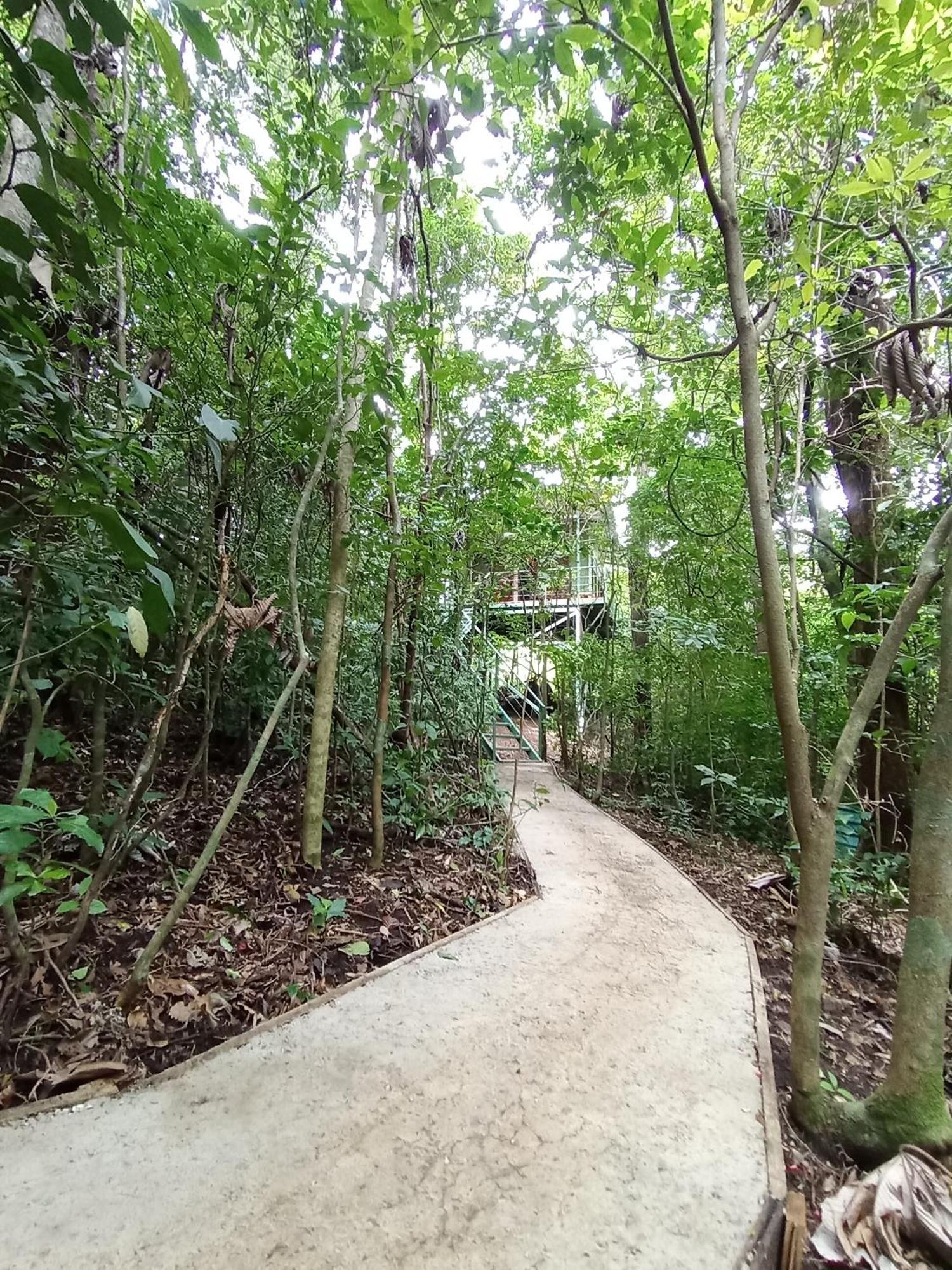 Jungle Living Tree Houses Monteverde Esterno foto