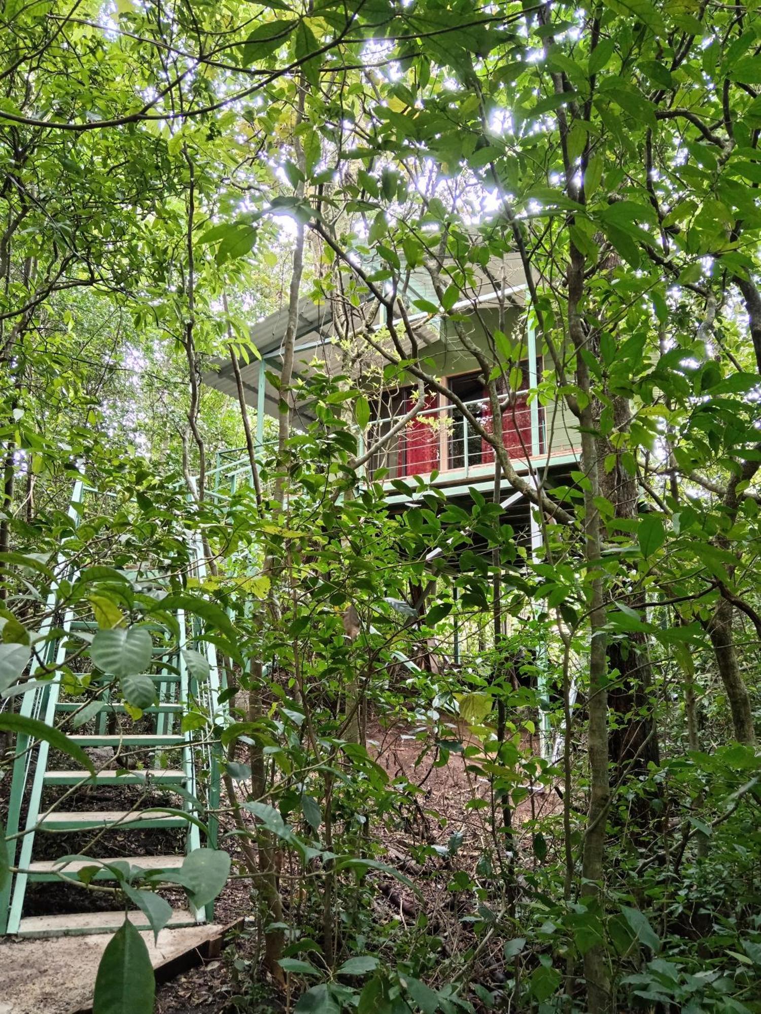 Jungle Living Tree Houses Monteverde Esterno foto