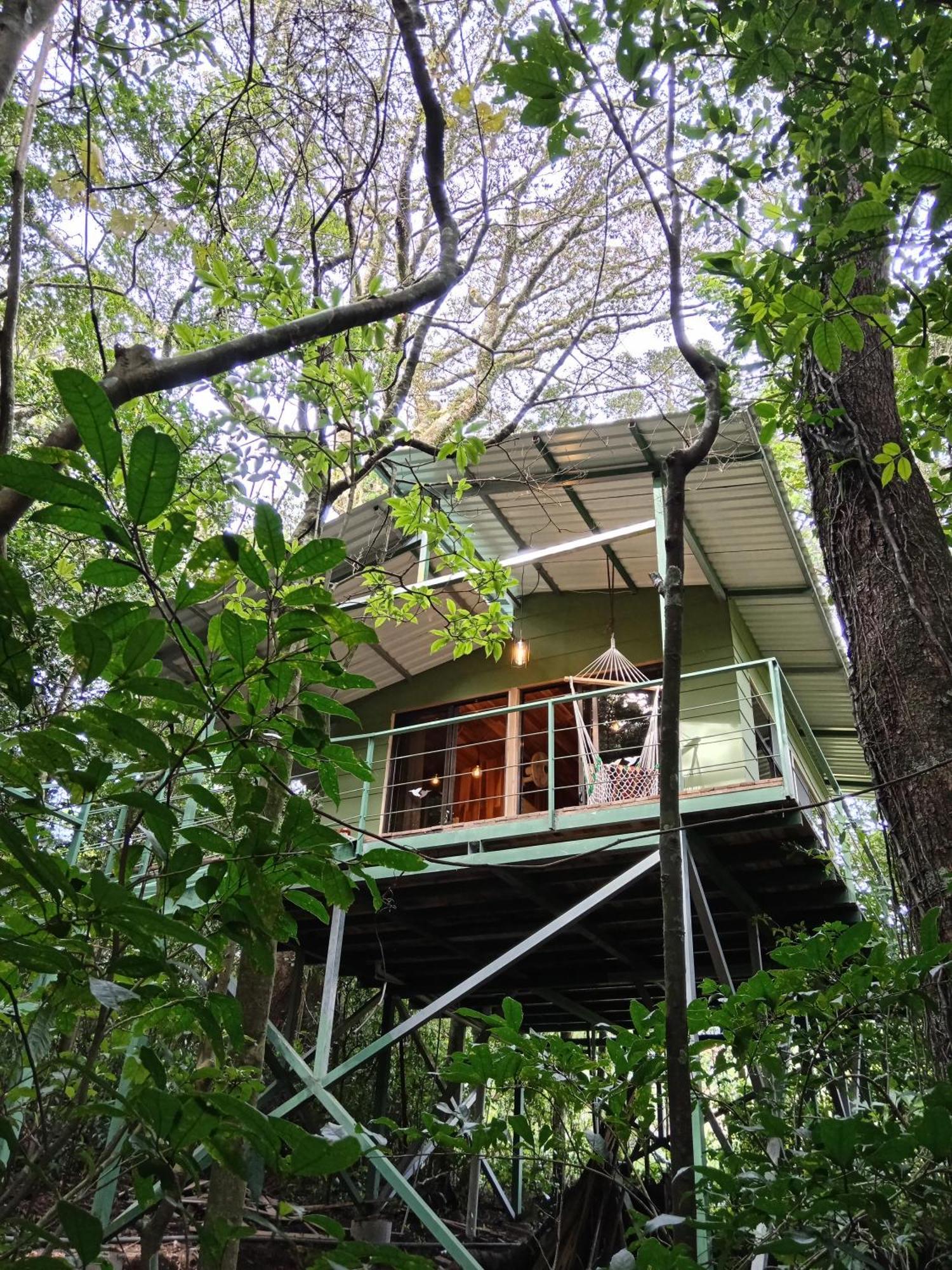 Jungle Living Tree Houses Monteverde Esterno foto