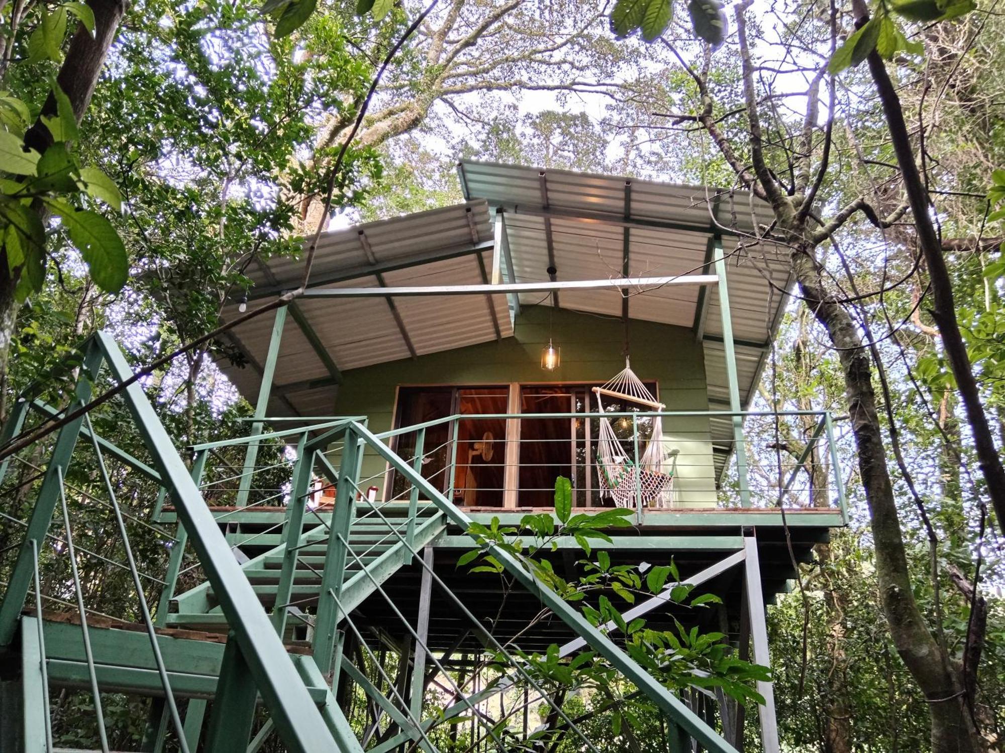 Jungle Living Tree Houses Monteverde Esterno foto
