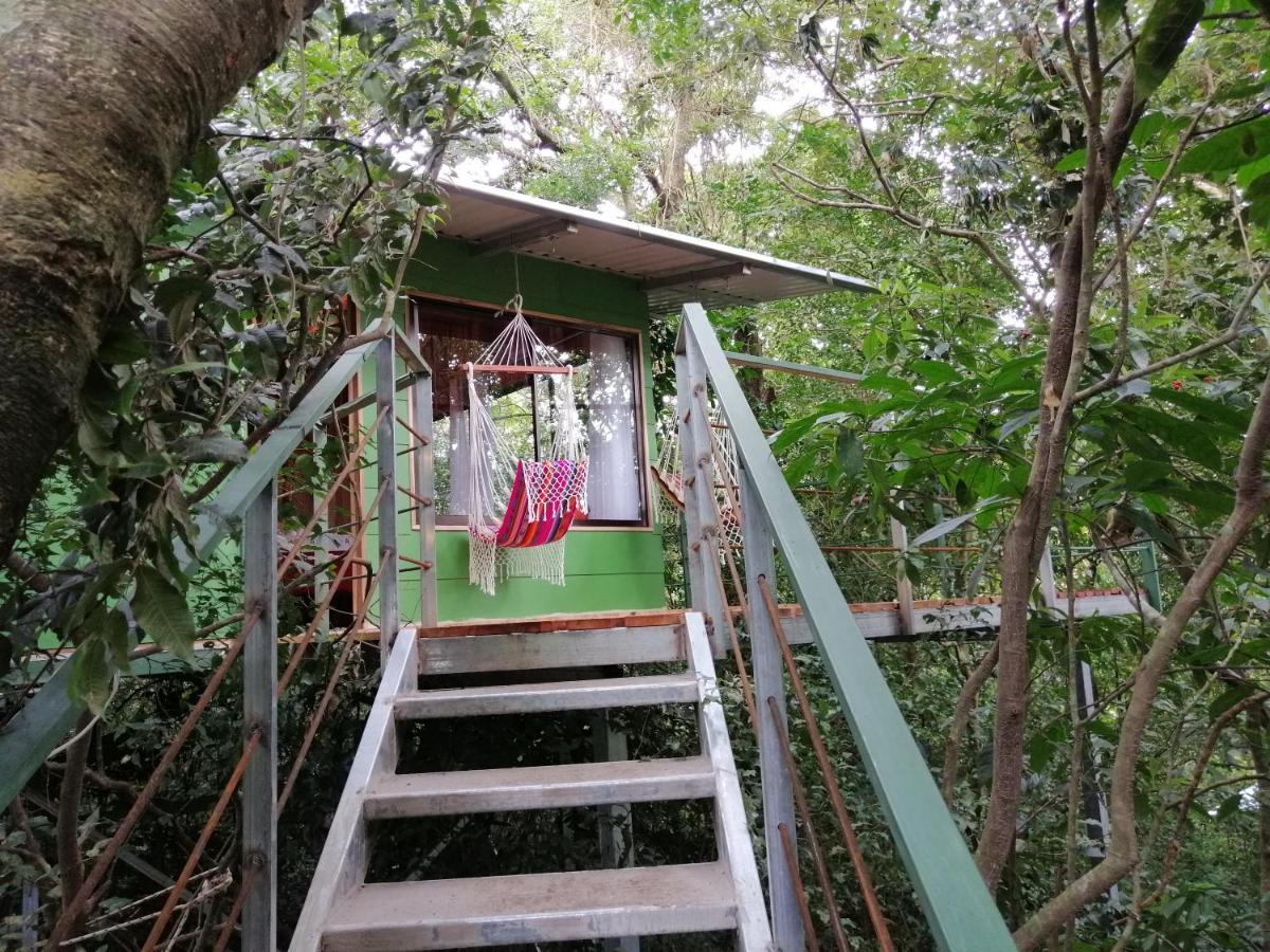 Jungle Living Tree Houses Monteverde Esterno foto